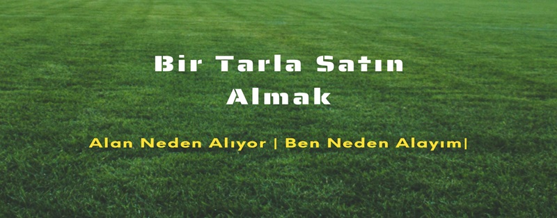 bir tarla satın almak
